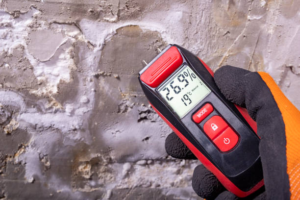 Best Mold Removal Company Near Me  in Superior, WI